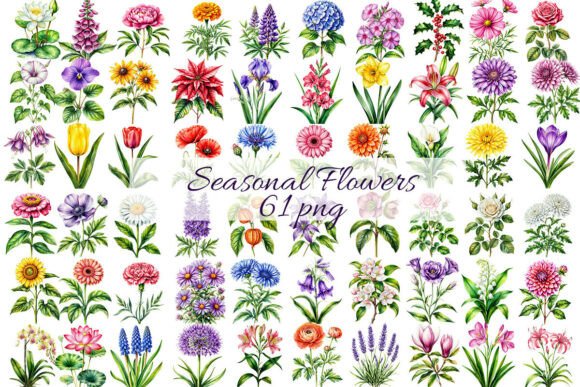 Download 61 Seasonal Flowers by Birth Month. - Season Collection